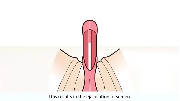 Store The male orgasm explained beste klipp