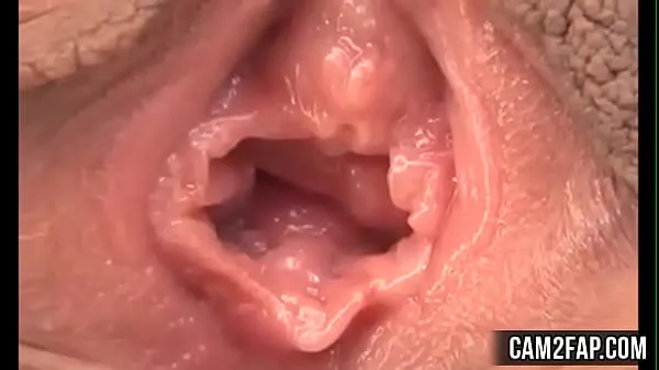 Veliki Pussy Free Asian Pussy Licking Porn Video najboljši posnetki