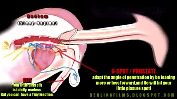 shemale anatomy Klip teratas Besar