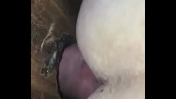 Big Cock Fucks Raw Creams Inside Klip teratas Besar