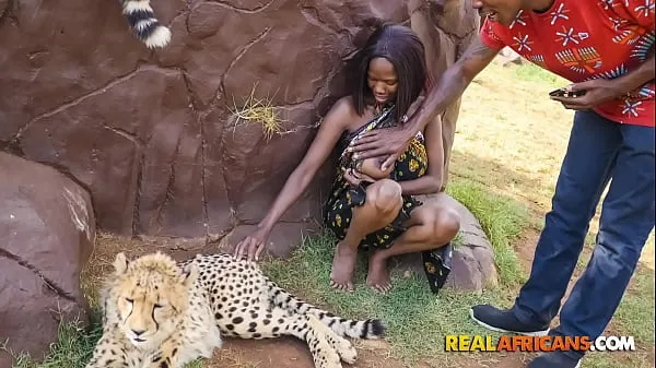 Veľké Wild African Car Sex In Safari Park najlepšie klipy