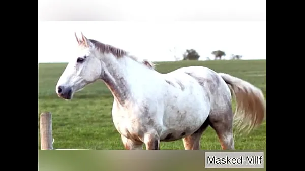 Store Horny Milf takes giant horse cock dildo compilation | Masked Milf topklip