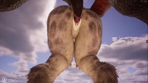 Nagy Wild Life Furry Hentai legjobb klipek