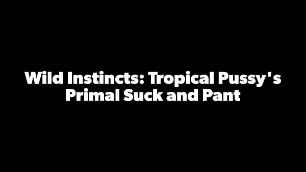 Tropicalpussy - update - Wild Instincts: Tropical Pussy's Primal Suck and Pant - Dec 26, 2023 Klip teratas Besar